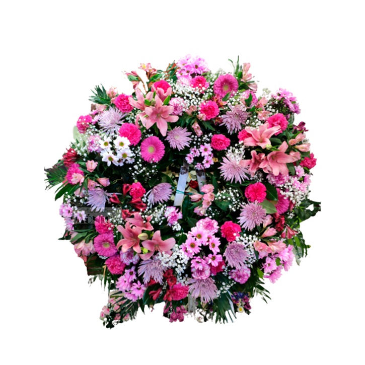 Corona Silvestre Rosa