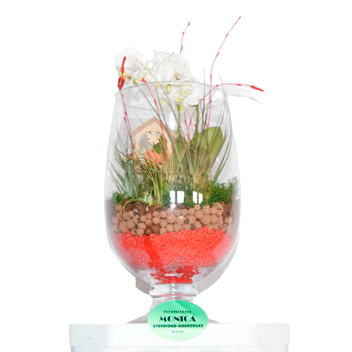 Copa con miniorquidea y tillandsias.