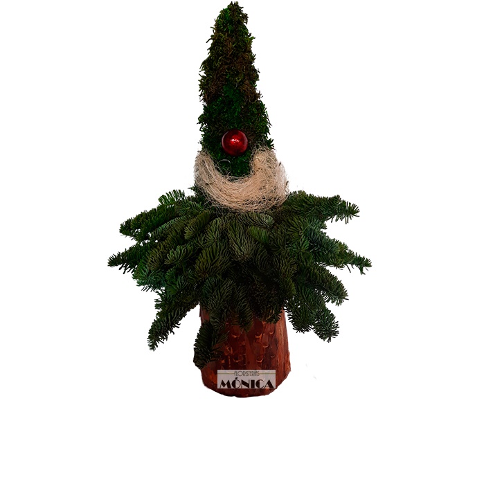 Gnomo Vegetal