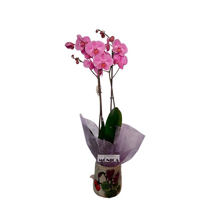 Orquídea con macetero 