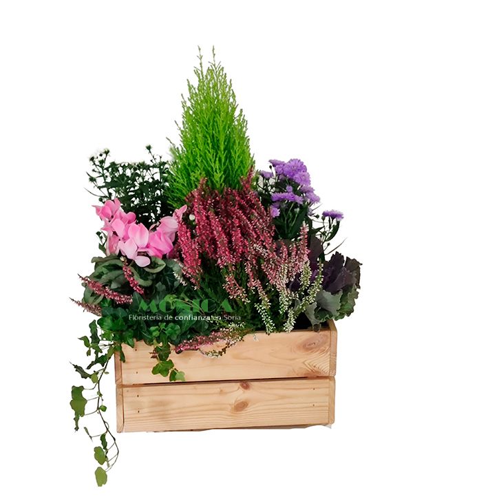 Caja de plantas de exterior