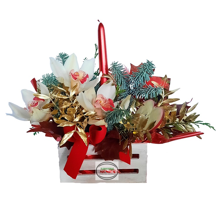 Caja con Orquídeas