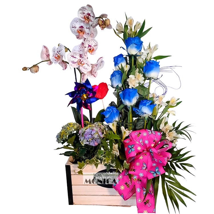Caja de Flor y Plantas Azul