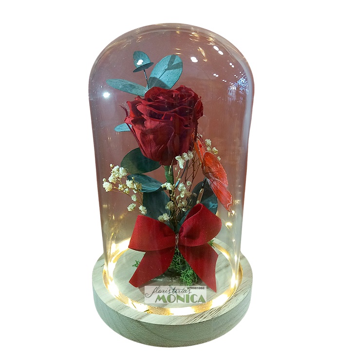 C&uacute;pula Mediana