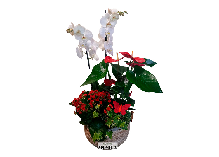 Cesto con orqu&iacute;dea