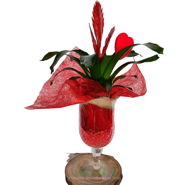 Copa de cristal con Bromelia